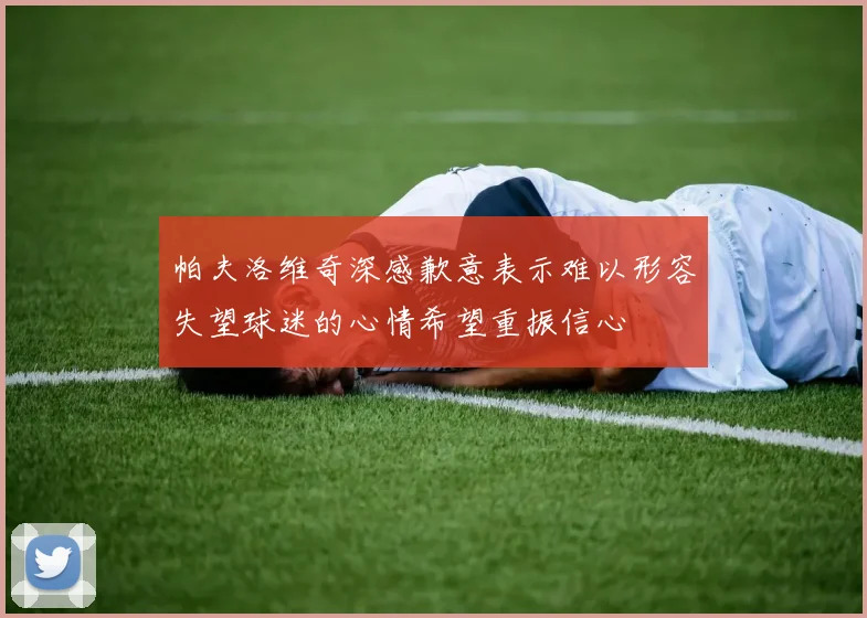 帕夫洛维奇深感歉意表示难以形容失望球迷的心情希望重振信心